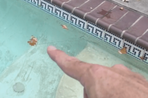 Pesky Pool Leaks Ruin Your Summer Fun In Orange County